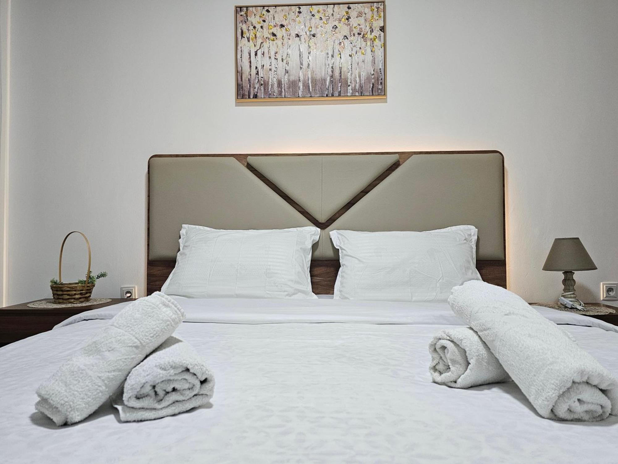 Superb 1 Bedroom In The Best Zone Of The City. Ferizaj Zewnętrze zdjęcie